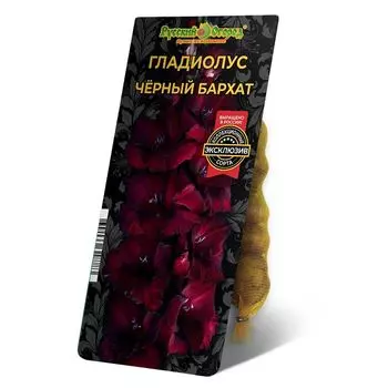 луковица Гладиолус Чёрный Бархат 8/12 5шт