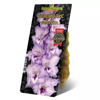 луковица Гладиолус Голубка 8/12 5шт