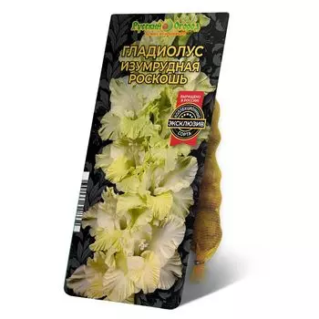 луковица Гладиолус Изумрудная Роскошь 8/12 5шт