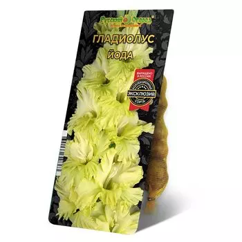 луковица Гладиолус Йода 8/12 5шт