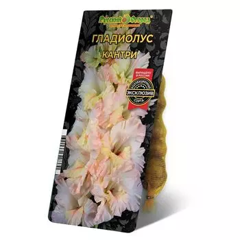 луковица Гладиолус Кантри 8/12 5шт