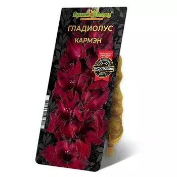луковица Гладиолус Кармэн 8/12 5шт