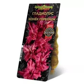 луковица Гладиолус Конёк Горбунок 8/12 5шт