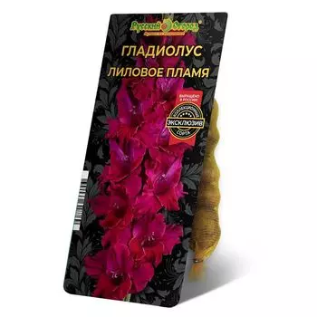 луковица Гладиолус Лиловое Пламя 8/12 5шт