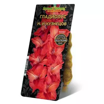 луковица Гладиолус Н. И. Кузнецов 8/12 5шт