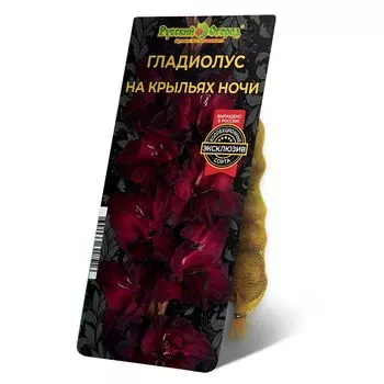 луковица Гладиолус На Крыльях Ночи 8/12 5шт