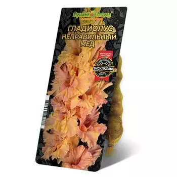 луковица Гладиолус Неправильный Мёд 8/12 5шт
