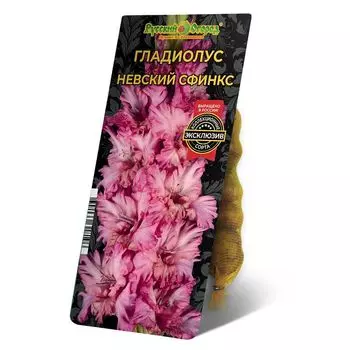 луковица Гладиолус Невский Сфинкс 8/12 5шт