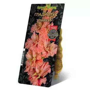 луковица Гладиолус Пируэт 8/12 5шт