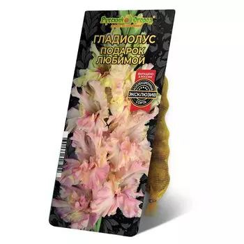 луковица Гладиолус Подарок Любимои 8/12 5шт