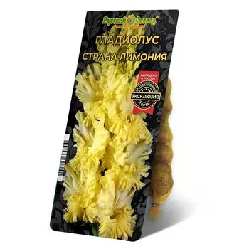 луковица Гладиолус Страна Лимония 8/12 5шт
