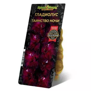луковица Гладиолус Таинство Ночи 8/12 5шт