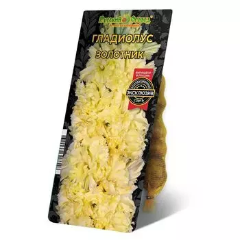 луковица Гладиолус Золотник 8/12 5шт