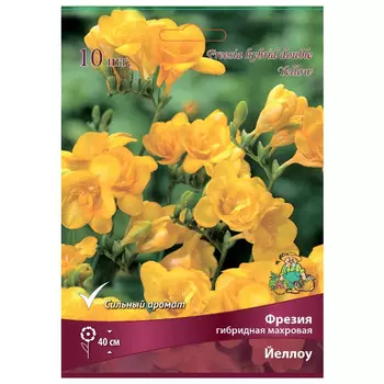 луковица растений Фрезия гибридная махровая Йеллоу ПОИСК 10шт