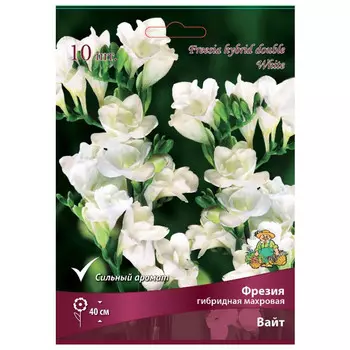 луковица растений Фрезия гибридная махровая Вайт ПОИСК 10шт