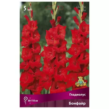 луковица растений Гладиолус крупноцветковый Бонфайр ПОИСК 5шт
