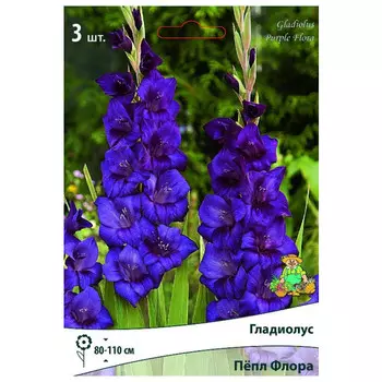 луковица растений Гладиолус крупноцветковый Пёпл Флора ПОИСК 3шт