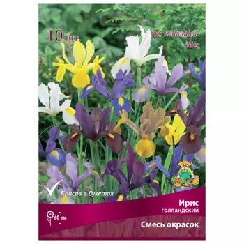 луковица растений Ирис голландский Cмесь окрасок ПОИСК 10шт