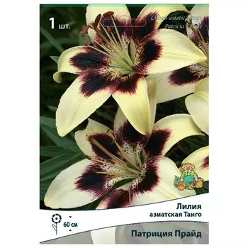 луковица растений Лилия азиатская Танго Патриция Прайд ПОИСК 1шт