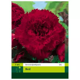 луковицы Бегония Фимбриата красная 1шт 5/6