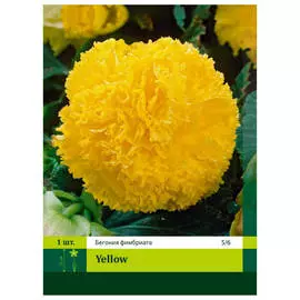 луковицы Бегония Фимбриата жёлтая 1шт 5/6