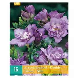 луковицы Фрезия Голубая махровая 15шт 5/+