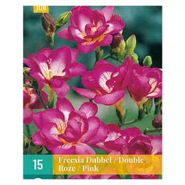 луковицы Фрезия Розовая махровая 15шт 5/+