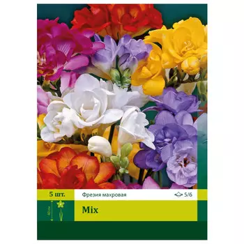 луковицы Фрезия Смесь ПЕТРОФЛОРА 5/6 5шт махровая