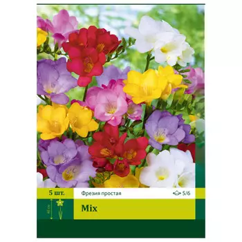 луковицы Фрезия Смесь ПЕТРОФЛОРА 5/6 5шт простая