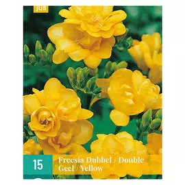луковицы Фрезия Жёлтая махровая 15шт 5/+