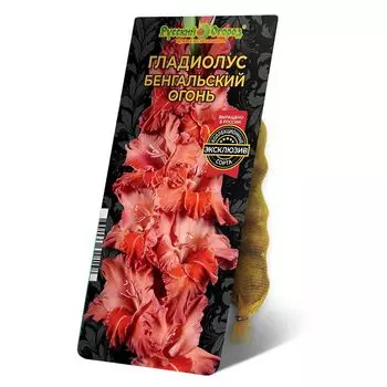 луковицы Гладиолус Бенгальский Огонь 8/12 5шт