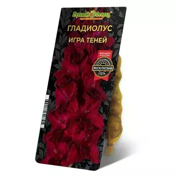 луковицы Гладиолус Игра Теней 8/12 5шт