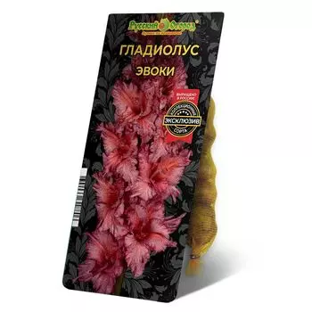 луковицы Гладиолус Эвоки 8/12 5шт