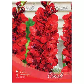 луковицы Гладиолус Омск 2шт 12/14