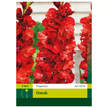 луковицы Гладиолус Омск ПЕТРОФЛОРА 12/14 3шт