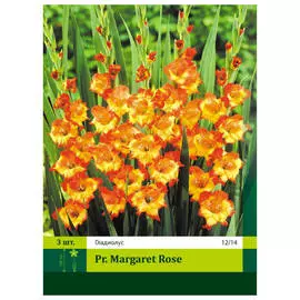 луковицы Гладиолус Пр. Маргарет Роуз 3шт 12/14