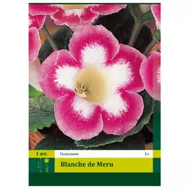 луковицы Глоксиния Бланш дэ Мероу 1шт 5/+