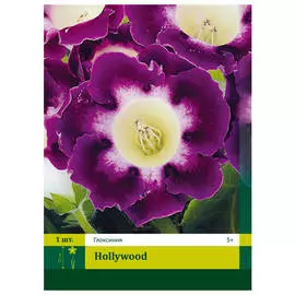 луковицы Глоксиния Голливуд 1шт 5/+