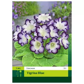 луковицы Глоксиния Тигрина Блу 1шт 5/+