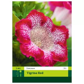 луковицы Глоксиния Тигрина Ред 1шт 5/+