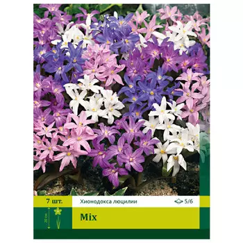луковицы Хионодокса Люцилии Смесь ПЕТРОФЛОРА 5/6 7шт