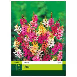 луковицы Иксия смесь 9шт 5/+