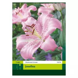 луковицы Лилия Джозефина 1шт 14/16
