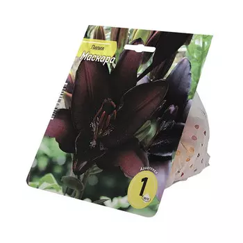 луковицы Лилия Маскара 10/12 1шт