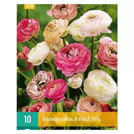 луковицы Лютик Пастель смесь 10шт 6/7