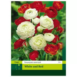 луковицы Лютик Ред/Вайт смесь 5шт 7/+