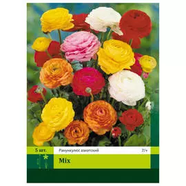 луковицы Лютик смесь 5шт 7/+