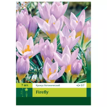 луковицы растений Крокус Фаерфлай 5/7 (7)