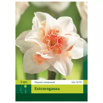 луковицы растений Нарцисс Экстраваганза 12/14 (2)