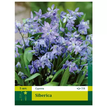 луковицы Сцилла Сибирская ПЕТРОФЛОРА 7/8 5шт